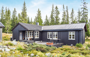 Holiday Home - Sjusjøen , Norway - N31882 1
