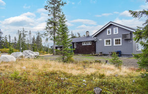 Holiday Home - Sjusjøen , Norway - N31887 1