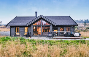 Holiday Home - Sjusjøen , Norway - N31895 1