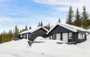 Holiday Home - Sjusjøen , Norway - N31898 1