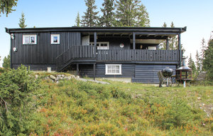 Holiday Home - Sjusjøen , Norway - N31902 1