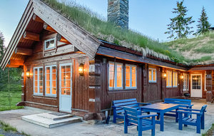 Holiday Home - Sjusjøen , Norway - N31911 1