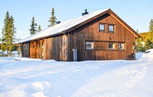 Holiday Home - Nordseter/Lillehammer/Sjusjøen , Norway - N31921 1