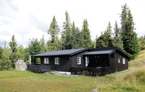 Holiday Home - Sjusjøen , Norway - N31948 1