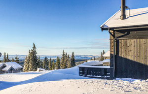 Holiday Home - Nordseter/Lillehammer/Sjusjøen , Norway - N31960 1