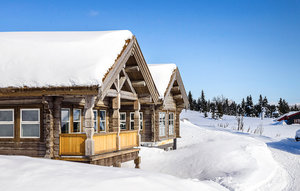 Holiday Home - Sjusjøen , Norway - N31963 1