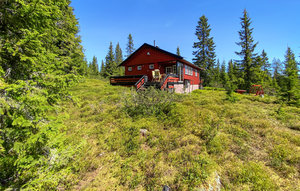 Holiday Home - Sjusjøen , Norway - N31973 1