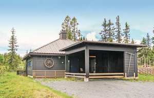 Holiday Home - Sjusjøen , Norway - N31980 1