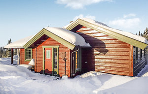 Holiday Home - Tisleidalen/Valdres , Norway - N32059 1