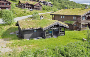 Holiday Home - Beitostølen , Norway - N32080 1