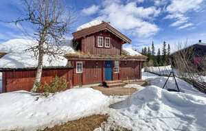Holiday Home - Aurdal , Norway - N32110 1