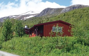 Holiday Home - Vang/Henåsen , Norway - N32804 1