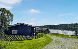 Feriehus - Nesbyen / Myking , Norge - N33494