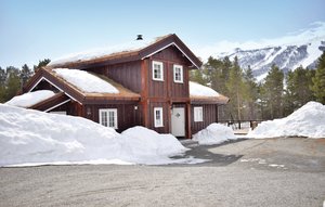 Holiday Home - Hallingskarvet , Norway - N33085 1
