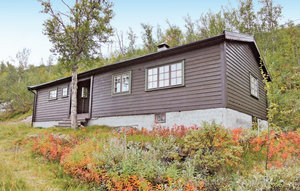 Holiday Home - Haugastøl/Hallingskarvet , Norway - N33124 1