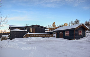 Holiday Home - Uvdal , Norway - N33159 1