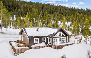 Holiday Home - Tunhovd , Norway - N33166 1
