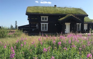 Holiday Home - Tempelseter , Norway - N33197 1