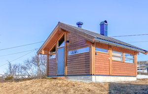 Holiday Home - Haugastøl , Norway - N33198 1