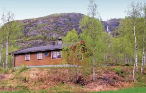 Holiday Home - Hemsedal , Norway - N33202 1