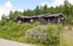 Holiday Home - Uvdal , Norway - N33288 1