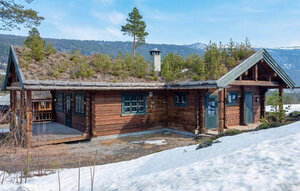 Holiday Home - Uvdal skisenter , Norway - N33303 1