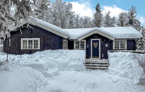 Holiday Home - Golsfjellet , Norway - N33319 1
