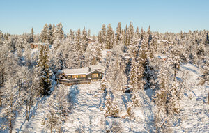 Holiday Home - Golsfjellet , Norway - N33336 1