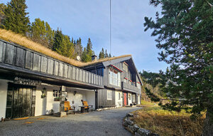 Holiday Home - Hemsedal , Norway - N33449 1