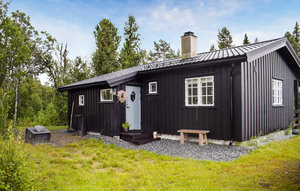 Holiday Home - Golsfjellet , Norway - N33453 1