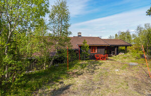 Holiday Home - Uvdal/Imingfjell , Norway - N33496 1
