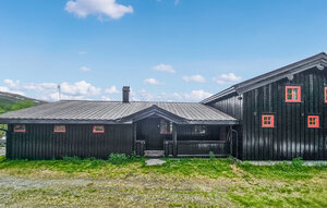 Holiday Home - Hemsedal/Holdeskaret , Norway - N33497 1