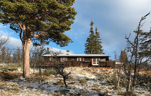 Holiday Home - Tunhovd , Norway - N33506 1