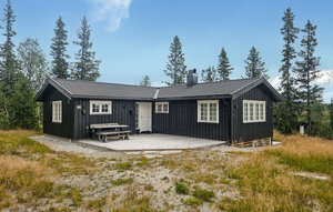 Holiday Home - Veggli fjell , Norway - N33510 1
