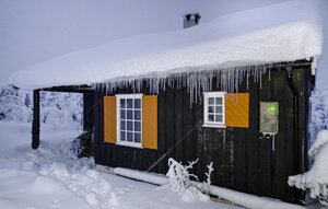 Holiday Home - Blefjell , Norway - N33517 1