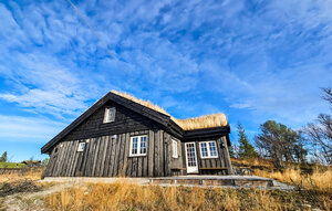 Holiday Home - Ål i Hallingdal , Norway - N33518 1
