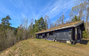 Holiday Home - Krøderen , Norway - N33542 1