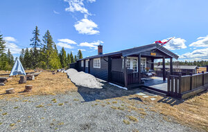 Holiday Home - Golsfjellet , Norway - N33544 1