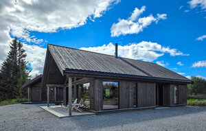 Holiday Home - Ål i Hallingdal , Norway - N33549 1