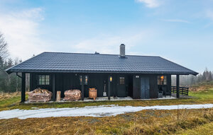 Holiday Home - Hemsedal , Norway - N33556 1