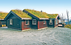 Holiday Home - Hemsedal , Norway - N33911 1