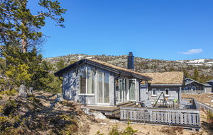 Holiday Home - Tovdal/Hillestadheia , Norway - N34291 1