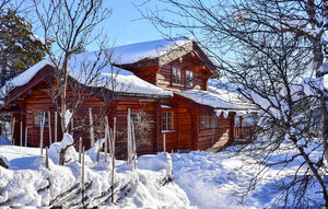 Holiday Home - Hovden i Setesdal , Norway - N34704 1
