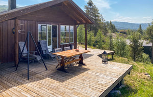 Holiday Home - Hovden/Bykle , Norway - N34986 1