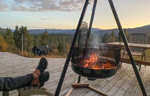 Holiday Home - Hovden/Bykle , Norway - N34986 1