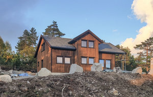 Holiday Home - Hillestadheia/Dølemo , Norway - N34993 1