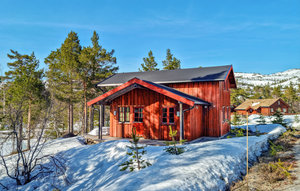 Holiday Home - Hillestadheia/Dølemo , Norway - N34996 1