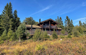 Feriehuse - Nissedal/Kyrkjebygdeheia , Norge - N35517