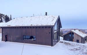 Feriehuse - Lifjell , Norge - N35497