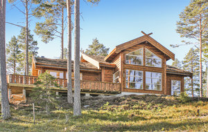 Holiday Home - Vrådal/Nisser , Norway - N35170 1